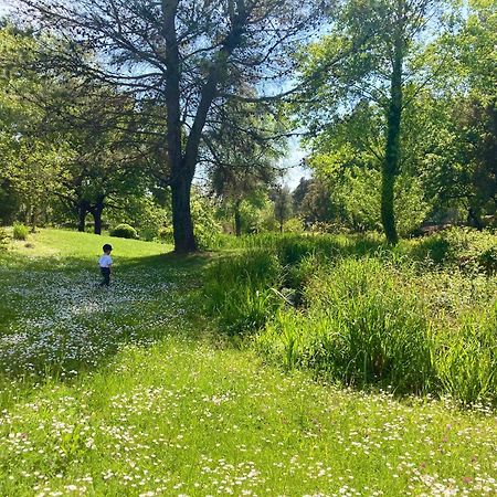 Les Restanques Vue Mer Roses 1070 Rez De Jardin Grimaud Zewnętrze zdjęcie
