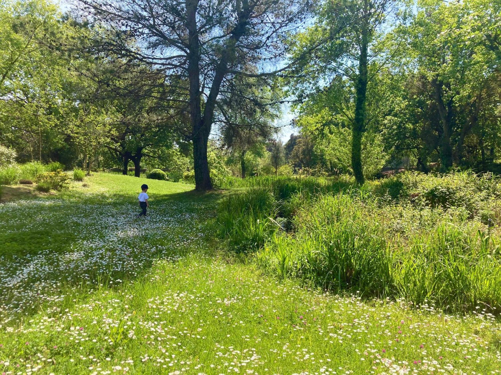 Les Restanques Vue Mer Roses 1070 Rez De Jardin Grimaud Zewnętrze zdjęcie