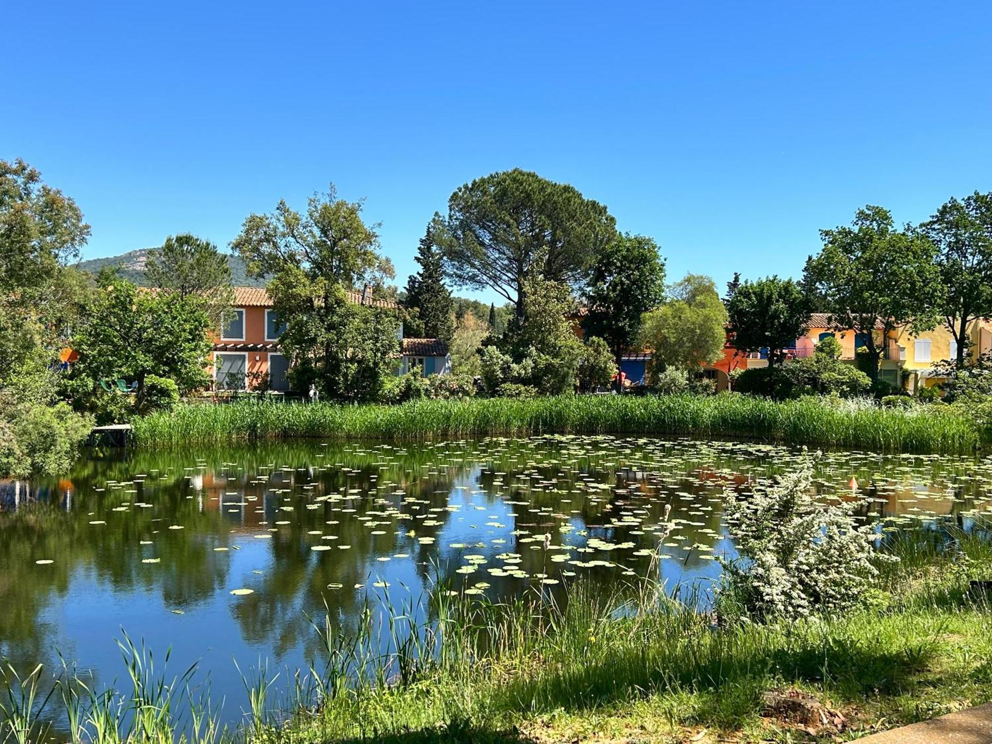 Les Restanques Vue Mer Roses 1070 Rez De Jardin Grimaud Zewnętrze zdjęcie